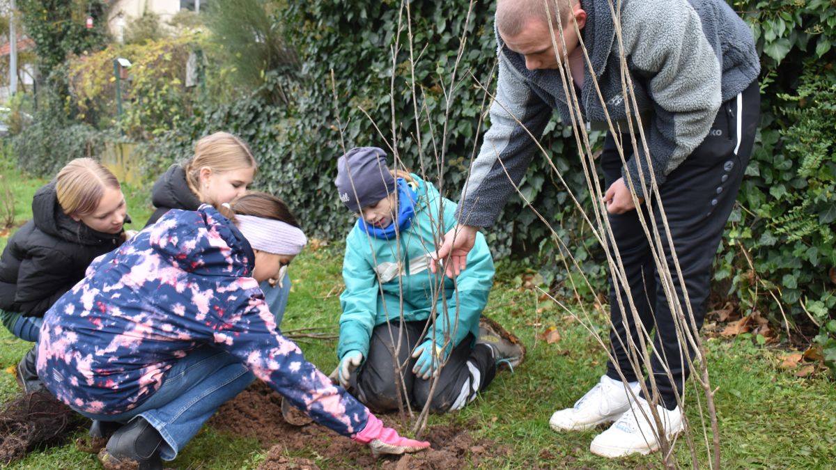 Schülerinnen der KGS Moringen (Außenstelle Nörten-Hardenberg) beim Pflanzen von Sträuchern im Schulgarten.