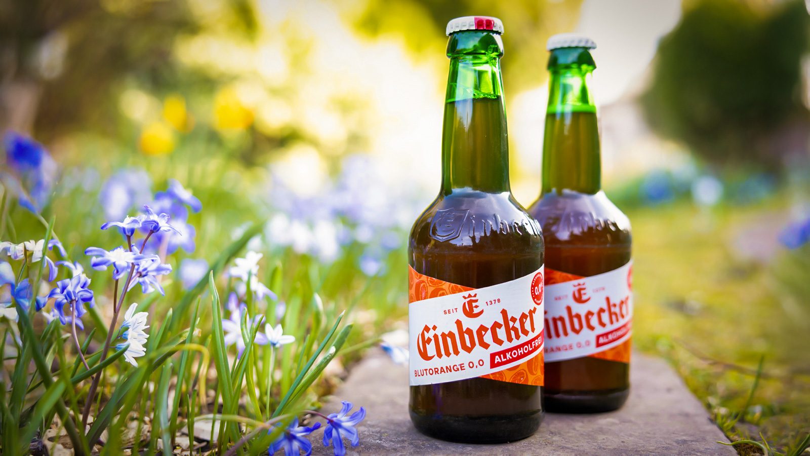 Einbecker Brauerei bringt „Einbecker Blutorange 0,0 Alkoholfrei“ auf den Markt und setzt auf fruchtige Biermischgetränke