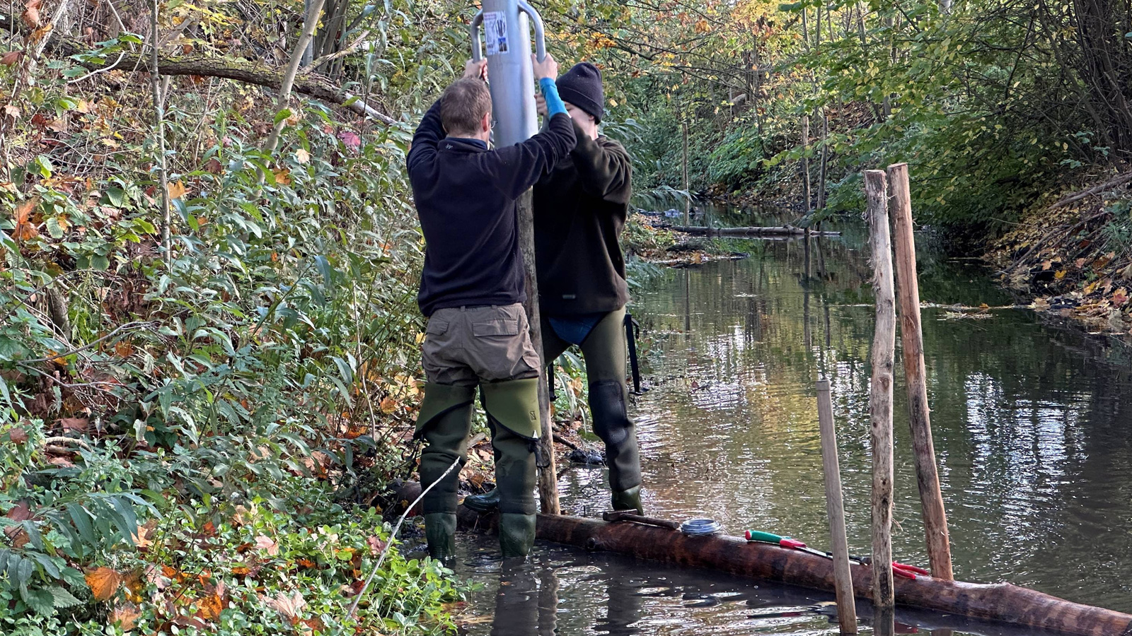 Fischereiverein Einbeck wertet Mühlenkanal ökologisch auf und setzt gezielte Strukturmaßnahmen um