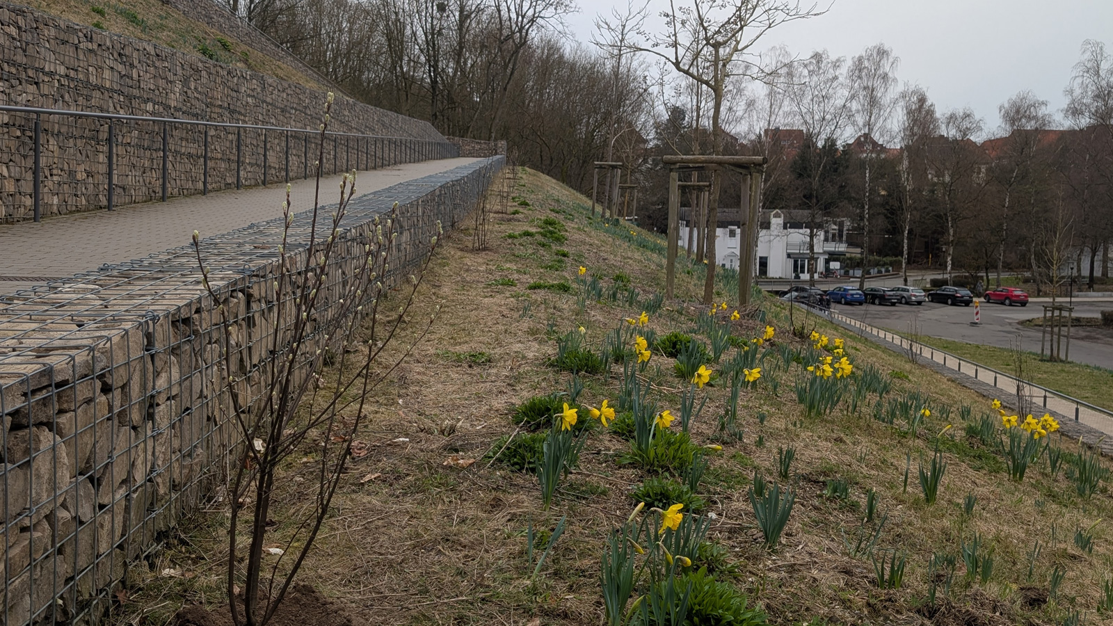 Stadtwerke Bad Gandersheim gestalten Gabionenhang neu – heimische Pflanzen ersetzen gescheiterte Bepflanzung