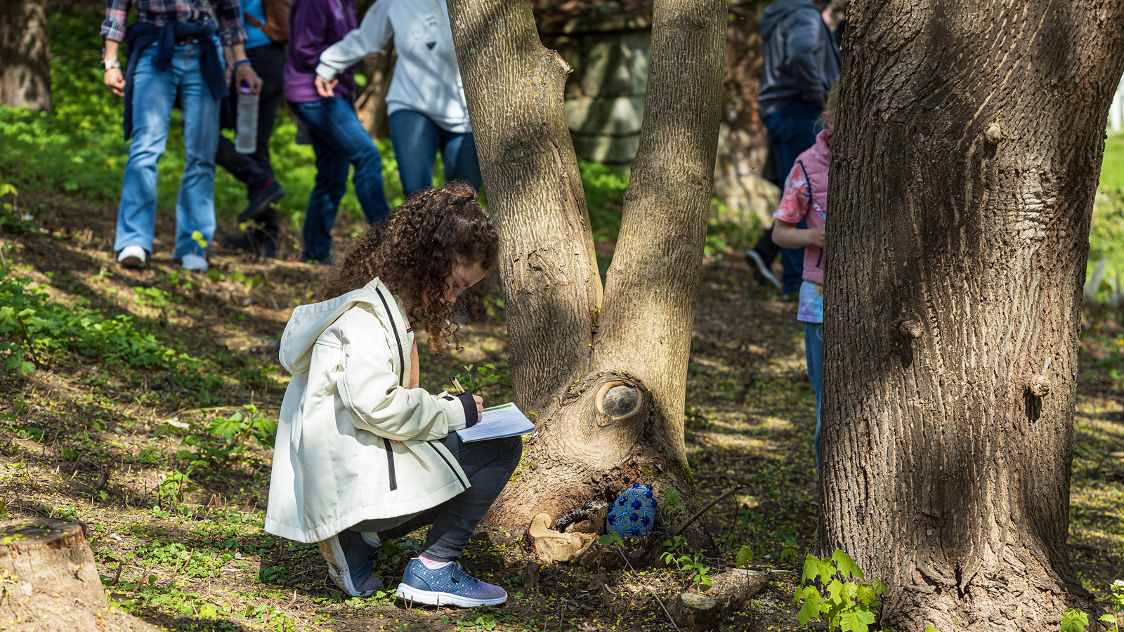 Kulturverein „Aktivitäter“ lädt zur Dracheneiersuche: Familienaktion im Mühlengarten der Magischen Mühle