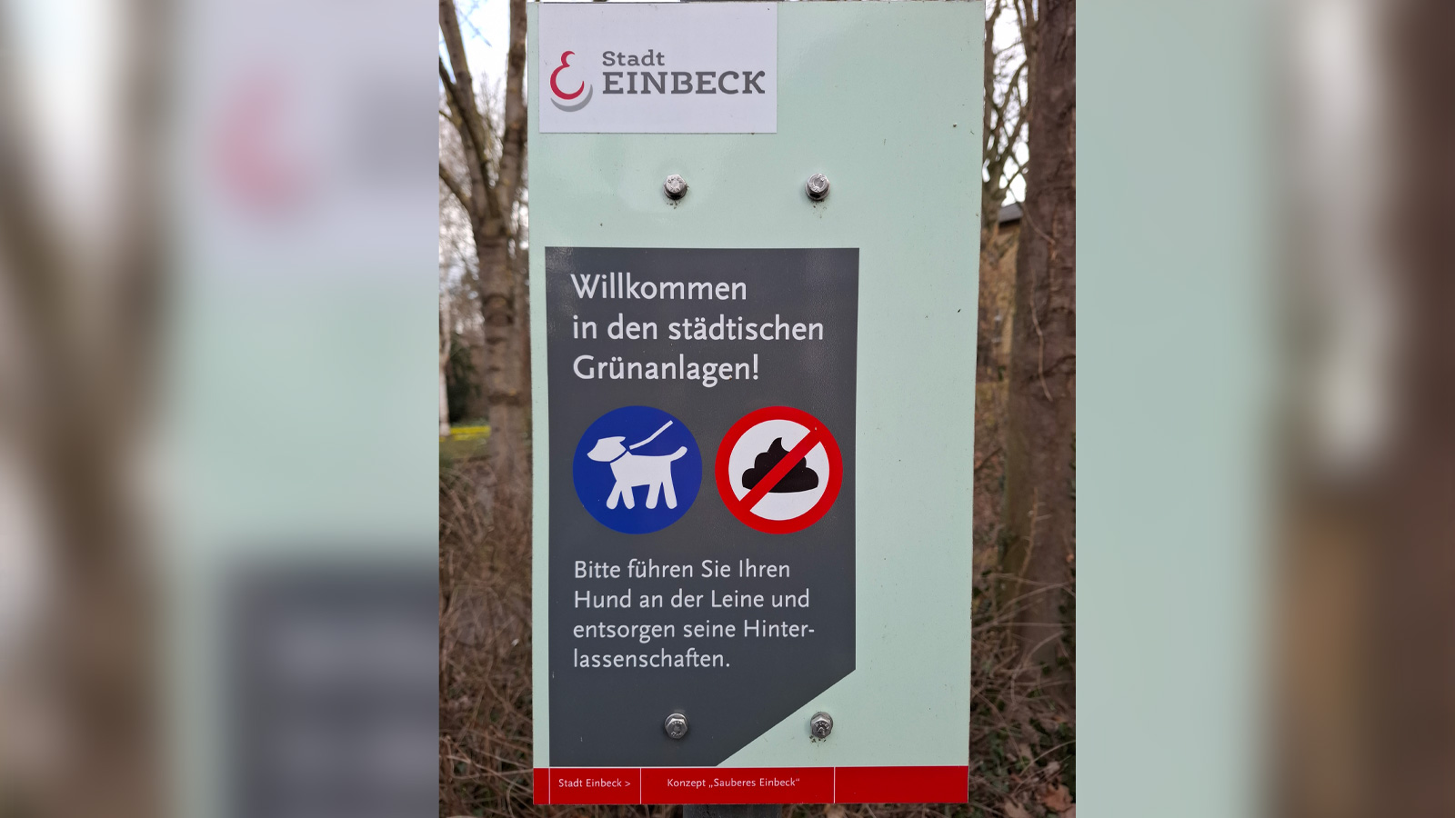 Mehr Hundehaufen in der Innenstadt: Stadt Einbeck mahnt zur Verantwortung