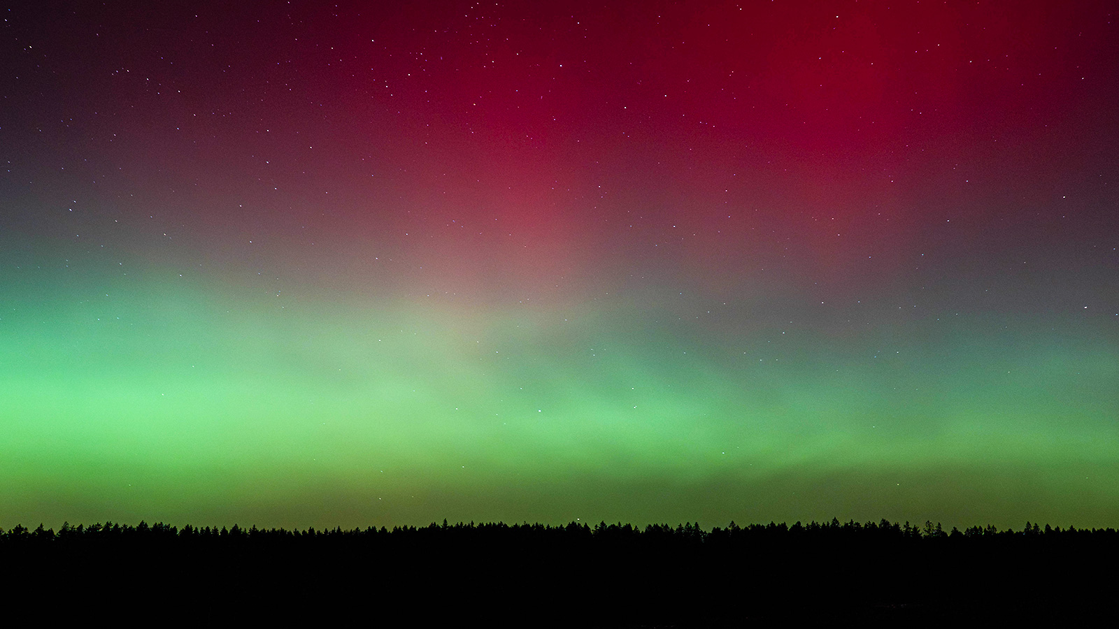 Farben am Himmel: Seltenes Polarlicht-Spektakel leuchtet über dem Landkreis Northeim