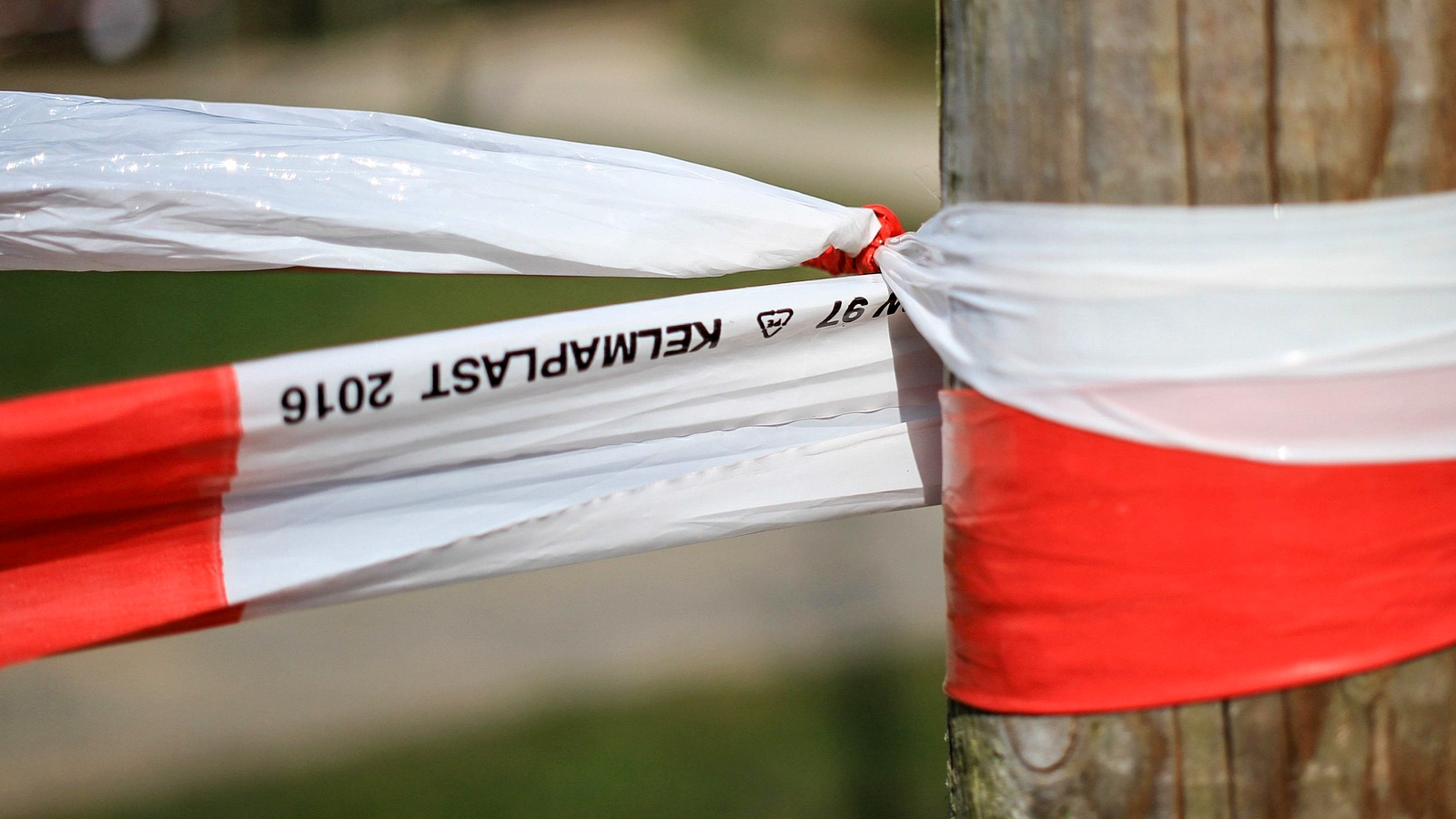 Geflügelpest vor der Haustür: Landkreis Northeim von Schutzmaßnahmen und Stallpflicht betroffen