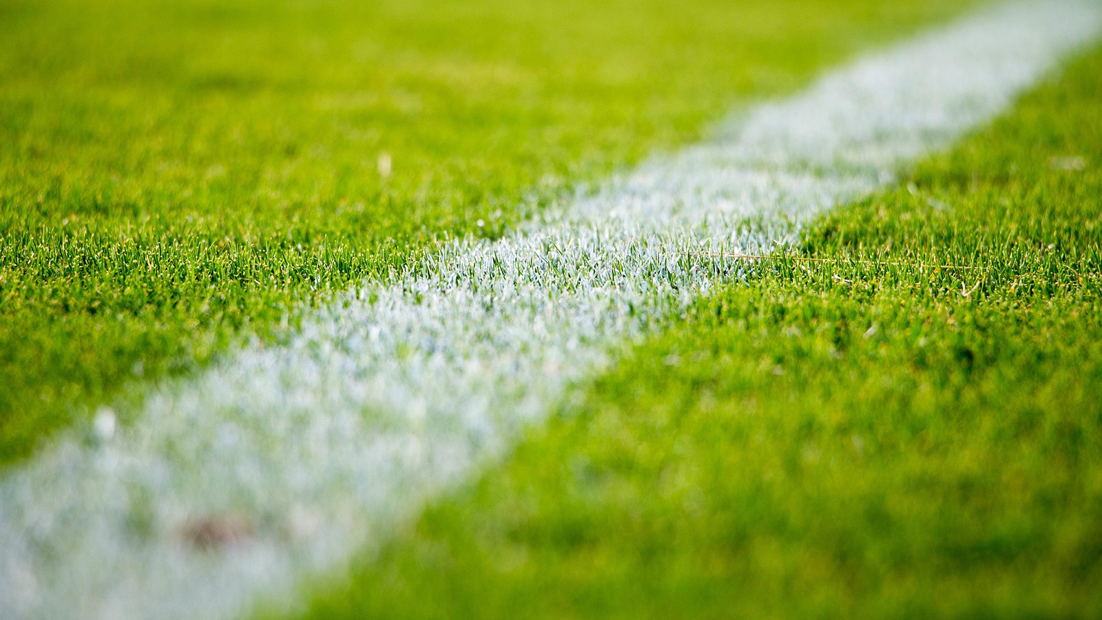 TSV Hohnstedt feiert 105 Jahre mit Jubiläumsspiel gegen Hannover 96 und großem Festprogramm